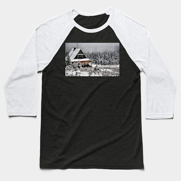 christmas turtle Baseball T-Shirt by BK55